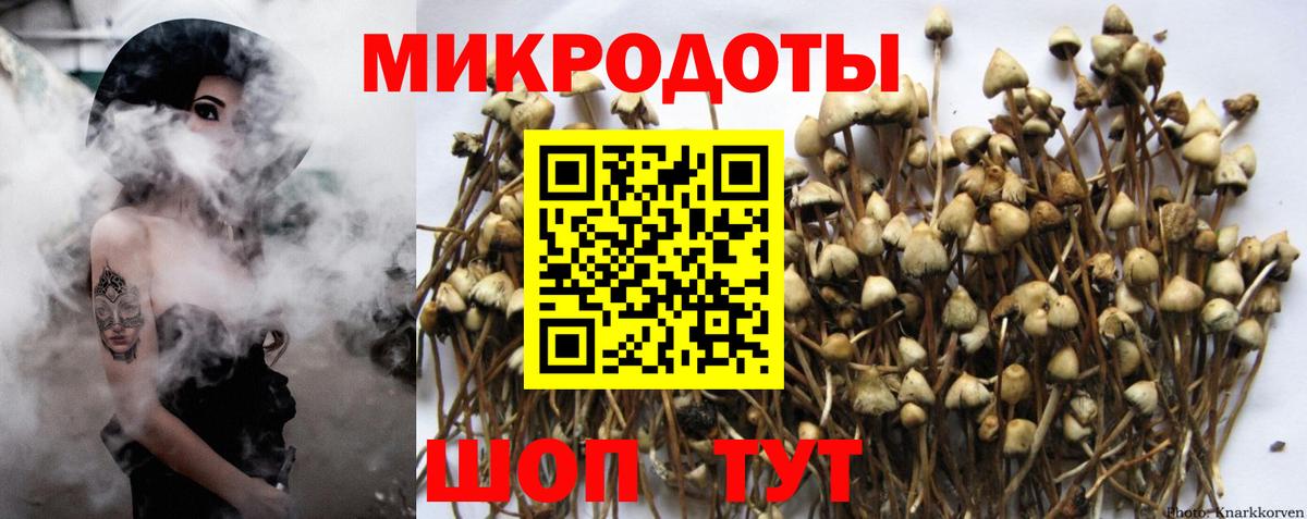 Нефтекамск  Псилоцибиновые грибы Psilocybe  Вход с VPN 